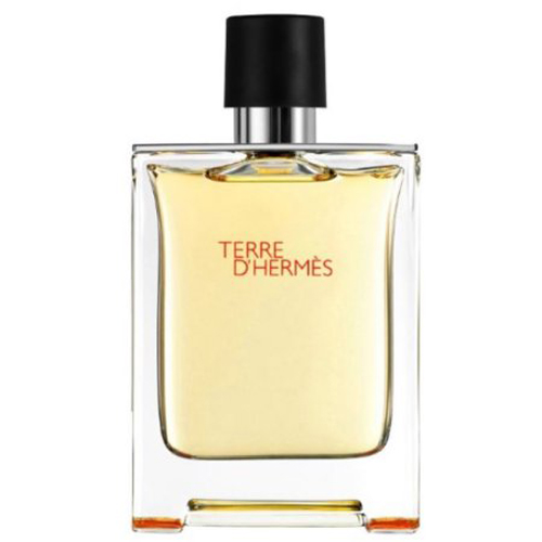 Terre DHermes Cologne for Men - Eau de Toilette Spray 3.4 oz