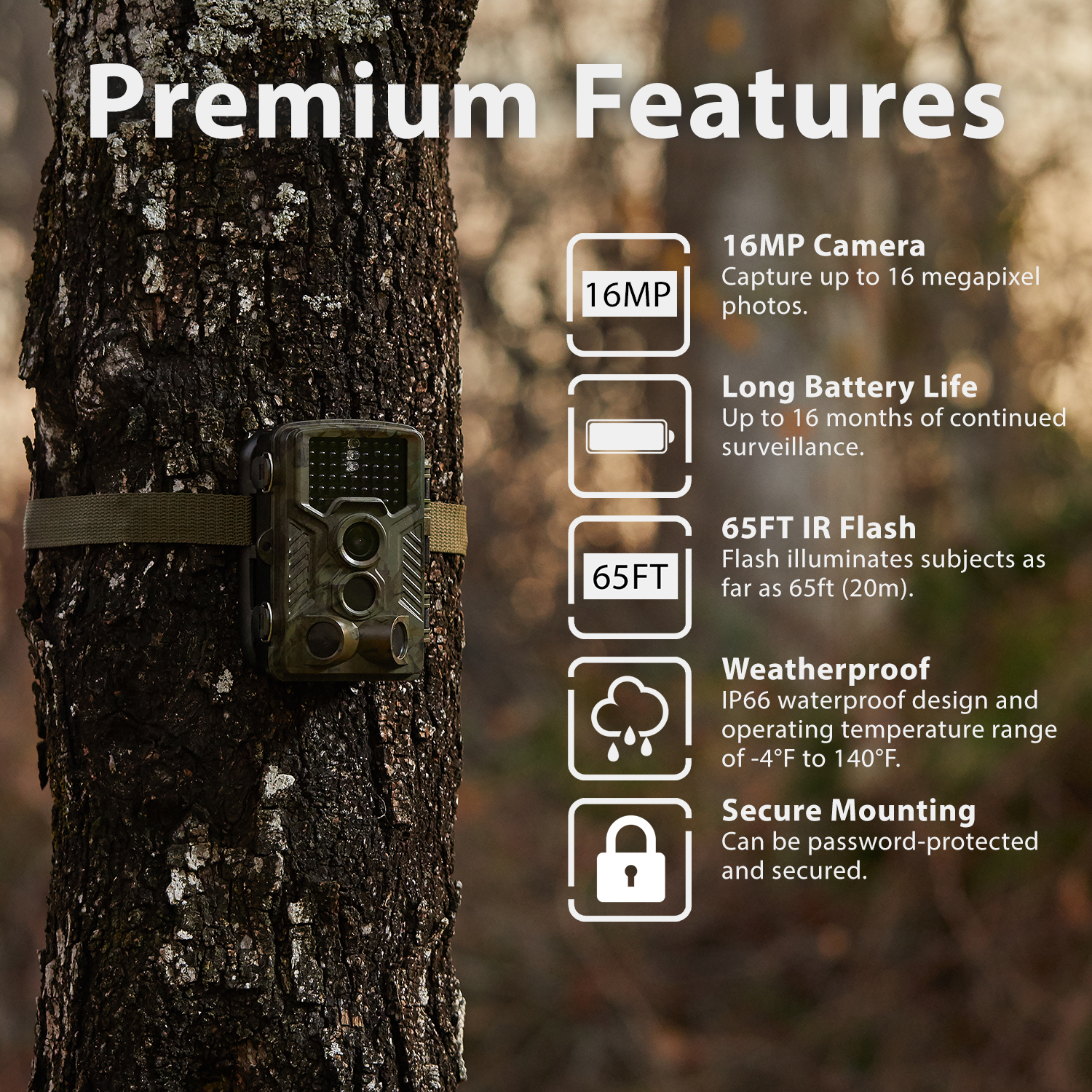 Rexing Woodlens H1 HD 16MP Trail Camera Day & Night