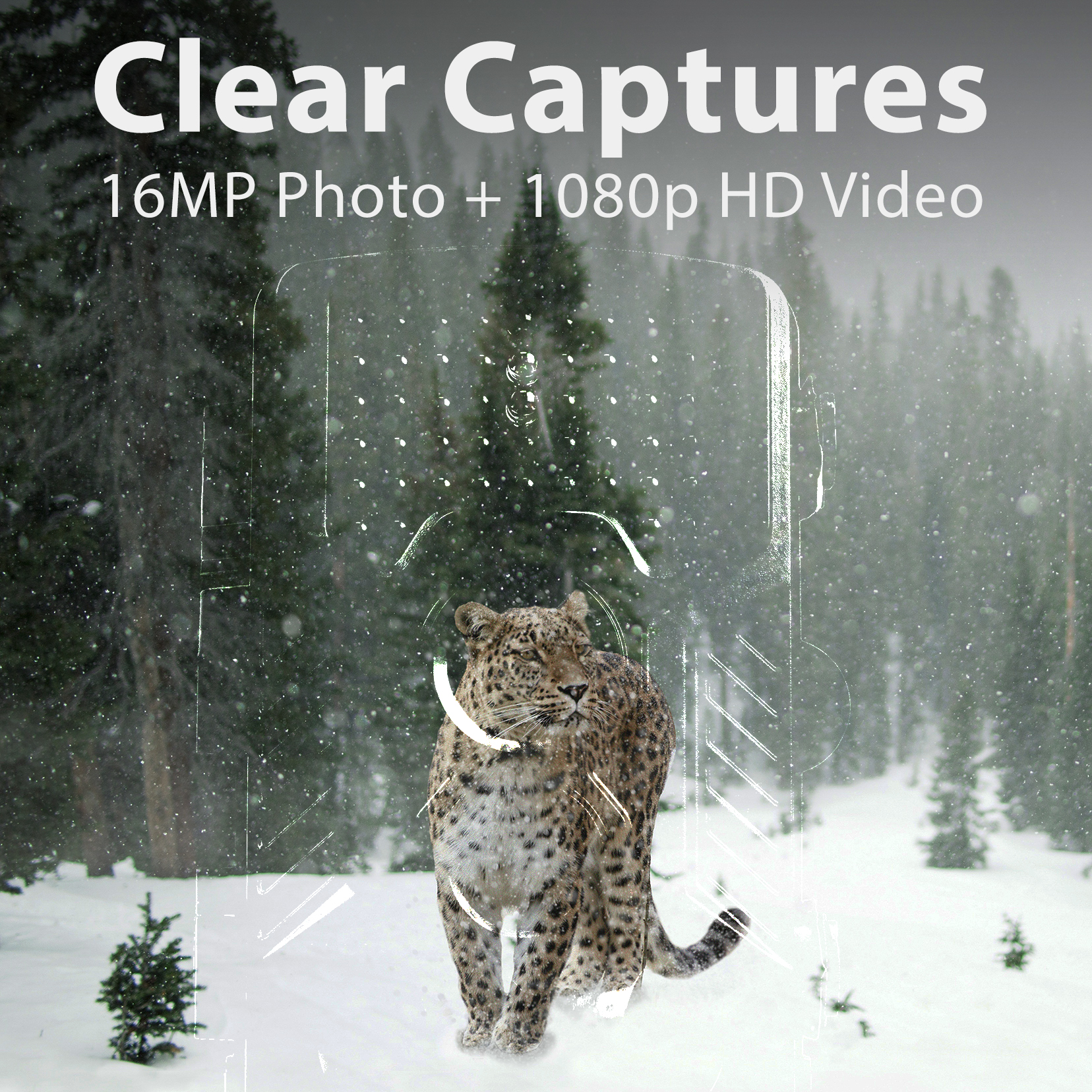 Rexing Woodlens H1 HD 16MP Trail Camera Day & Night