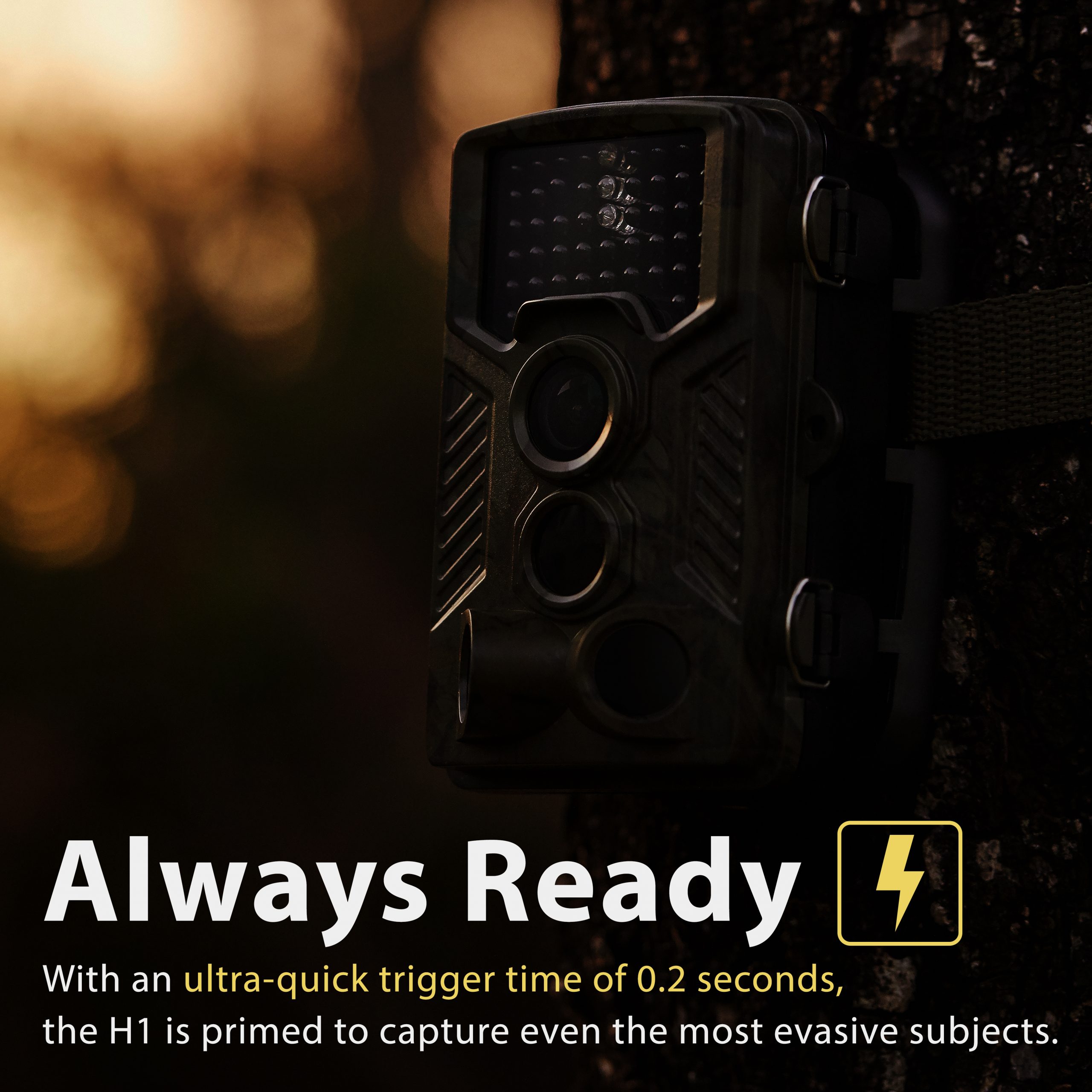 Rexing Woodlens H1 HD 16MP Trail Camera Day & Night